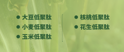 蛋白肽类产品-植物来源(图1)